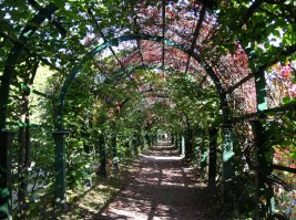 Петродворец