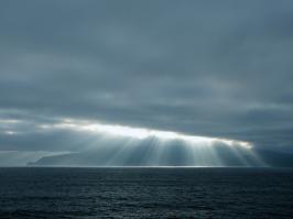 Фишкина солянка за 07.11.2014 