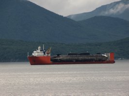 Пост отличный!!! Позволю и себе внести свои 5 копеек. Эти же персонажи, только "в начале большого пути". Снимки сделаны в конце августа на рейде Петропавловска-Камчатского.