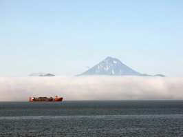 Пост отличный!!! Позволю и себе внести свои 5 копеек. Эти же персонажи, только "в начале большого пути". Снимки сделаны в конце августа на рейде Петропавловска-Камчатского.