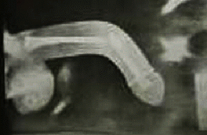 Катана даймё рода Тоётоми XVI века