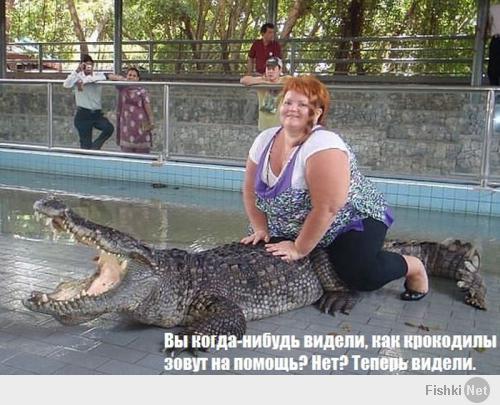 Пусть крокодил спасибо скажет,что она его на спину не перевернула...