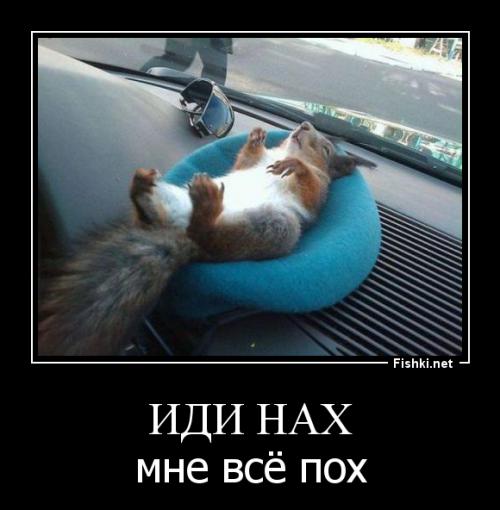 Жаль,что ты такой... дурак ты и *******... заварил кашу,ебанашка, "знаток" русского языка, взял и отключил себя... а такой был "интересный" собеседник