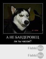 В Севастополе за ночь появилась "Аллея российской славы"