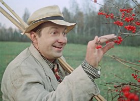 Георгий Вицин   