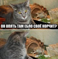 18 ящериц, которые слишком чудесны, чтобы быть настоящими