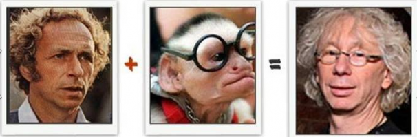 Соединение красоты