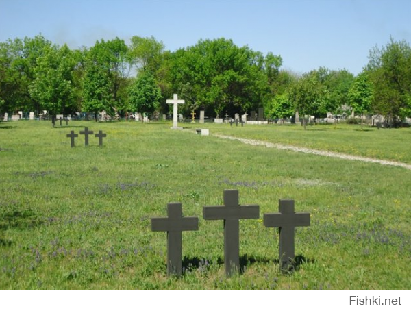В Донецке немцы уже есть("Немецкое" кладбище в г. Горловка)