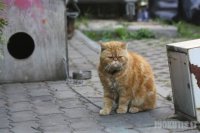 Продолжение: