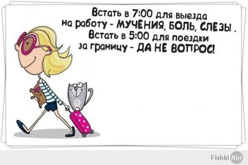 Фишкина солянка за 03.06.2014