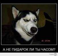 Путин "ОПУСТИЛ" Запад !!!