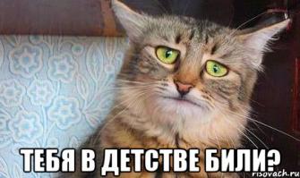 Германия обнародовала свои данные о гибели малайзийского "Боинга"