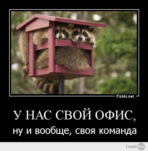 зачОтное НОУ-ХАУ красавЭлЫ ))) 5+