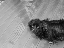 и так бывает =)