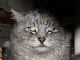 ОГО! =)