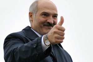 “TomTato”: гибрид картофеля и помидора