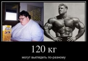 Подборка качковского юмора 