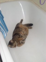 добавлю и я своего, спит, где упадет