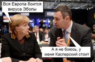 10 фактов про вирус эбола, которые стоит узнать прямо сегодня