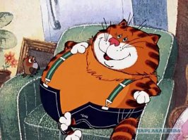 Нас и здесь неплохо кормят