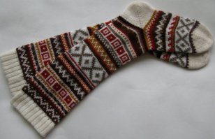 Лебедь, пострадавший от мороза 