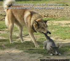 А бывает и наоборот:)