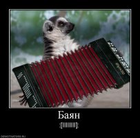 Магазин мужей