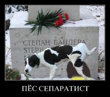 Запорожская республика. Начало