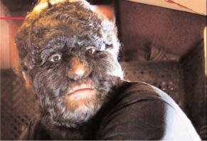 20 животных, которые могут похвастаться завидной шевелюрой