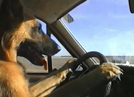 Все так и было!