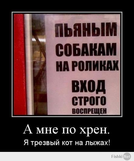 Демотиваторы 