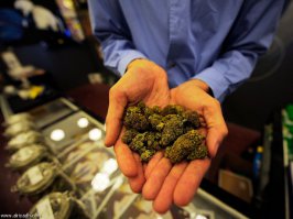 10 вещей, которые удивляют туристов в Нидерландах