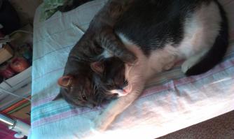 Вот и мои "приёмники" настроения :)