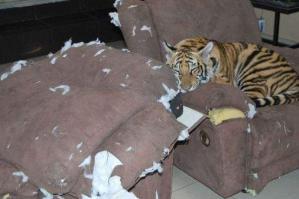 А теперь потыкай его носом в то, что он сделал!))