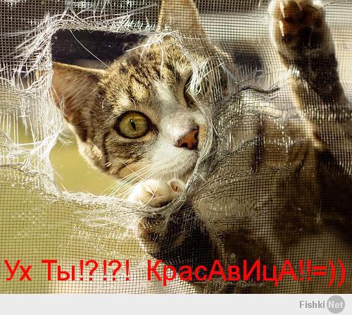 Селфи для фишек