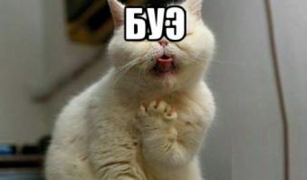 А знаете ли вы, что...