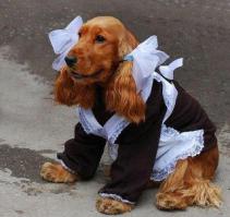 Девушка краса, длинная коса