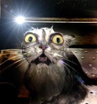 Дьявольский взгляд из темноты