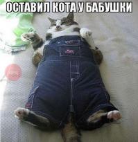 Таити, Гаити... Нас и тут неплохо кормят