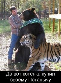 Что экспортирует Россия на мировой рынок кроме нефти? 