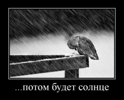 Фотографии наполненные любовью и добротой