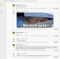 Ополченцы обошли Мариуполь и вышли к Азовскому морю