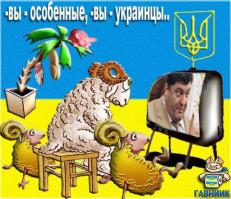 Они не знают, за что воюют