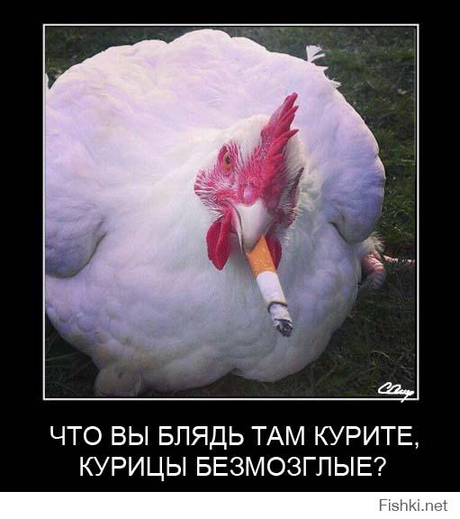 Перепись укропитеков. Часть 10
