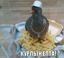 28 детенышей животных, которые напомнят вам, что мир прекрасен!