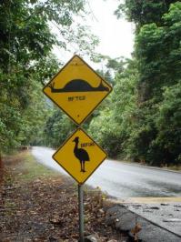 Дополню)Это в Австралии)