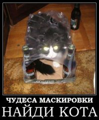 Мастера камуфляжа