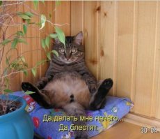 Самая дорогая полировка автомобиля