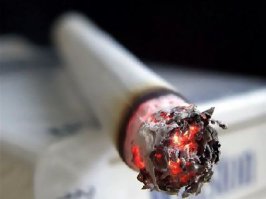 ниже пишут, что мол не возможно не проснуться от дыма кастрюли, мол это утка, ни фига не так! все возможно! 

на собственном примере знаю, что возможно,
однажды, после  похода в кабак, где порядочно насинячился, вернулся домой, обнаружил, что оказывается у меня
еще и дома пиво есть :) ну решил, что сейчас еще банку пива хряпну и спать. Рядом с компютором у меня стоит
большое кресло, ну удобно залезть на него с ногами и сидеть скрестив ноги по турецки. Ну вот... уселся поудобнее, включил youtube,
хлебнул пивка, закурил и вырубился с горящей сигаретой!
Не знаю от чего я проснулся, то ли от дыма (кресло загорелось), то ли от боли, но судя по ожогу, сигарета долго жгла мне ногу, а ни хрена не чувствовал, ожог от сигареты сантиметра 2 в длину остался.
Так что всякое бывает, иногда люди чутко спят, а иногда из "пушки стреляй" не проснешься!

P/S/
   Бросайте курить! или хотя бы не курите "синими", когда в сон клонит.