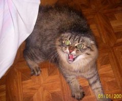 Довыгребывалась